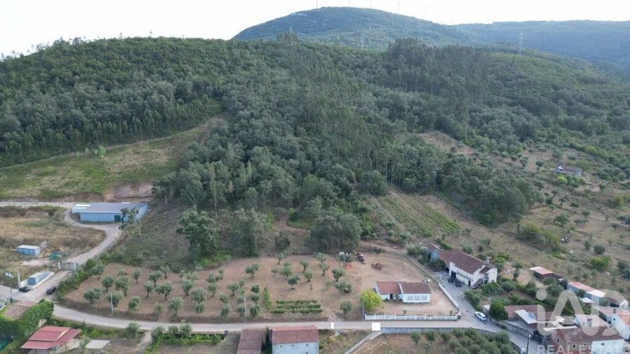 Terreno para Venda em São Miguel, Santa Eufémia e Rabaçal Foto 3