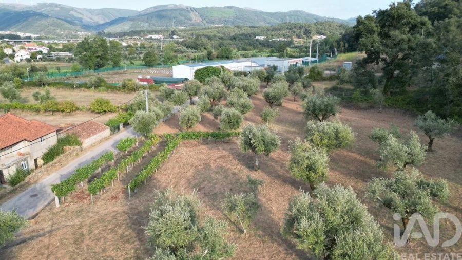 Terreno para Venda em São Miguel, Santa Eufémia e Rabaçal Foto 18