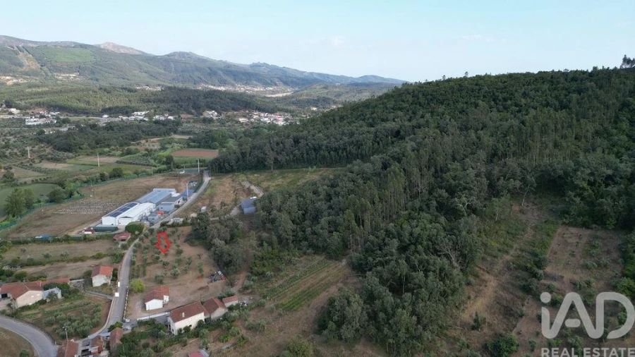 Terreno para Venda em São Miguel, Santa Eufémia e Rabaçal Foto 5