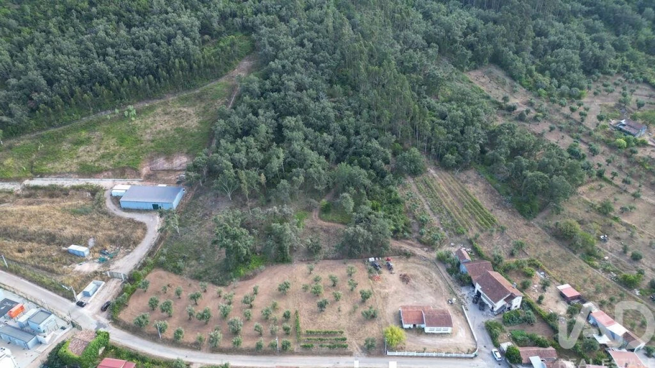 Terreno para Venda em São Miguel, Santa Eufémia e Rabaçal Foto 2