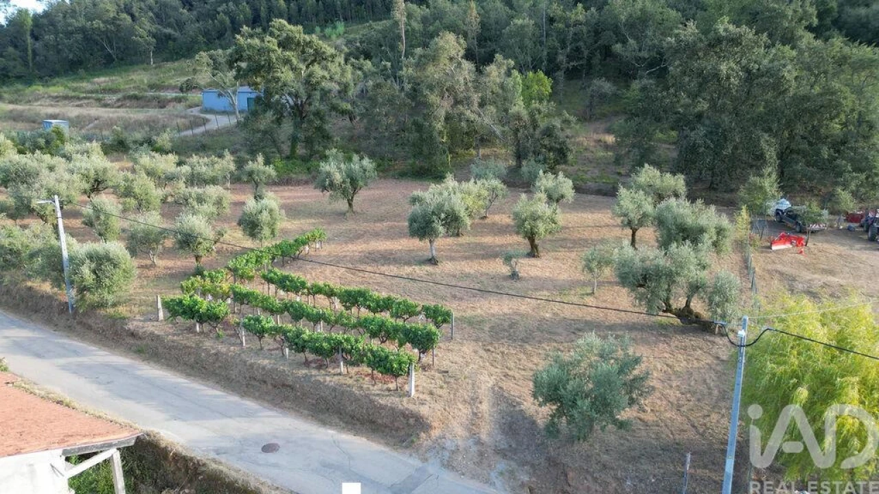 Terreno para Venda em São Miguel, Santa Eufémia e Rabaçal Foto 12
