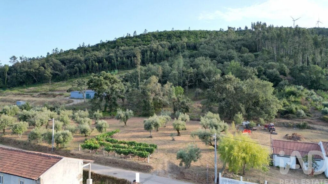 Terreno para Venda em São Miguel, Santa Eufémia e Rabaçal Foto 11