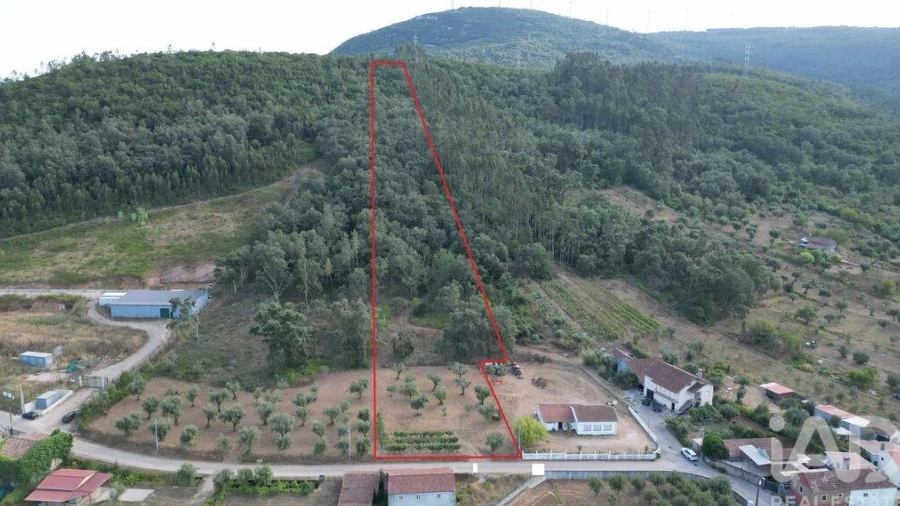 Terreno para Venda em São Miguel, Santa Eufémia e Rabaçal