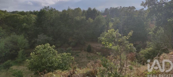 Terreno para Venda em Mões