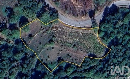 Terreno para Venda em Mões
