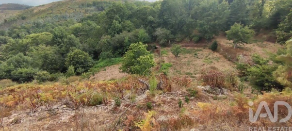 Terreno para Venda em Mões