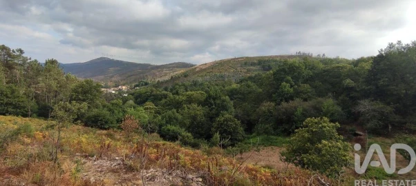 Terreno para Venda em Mões