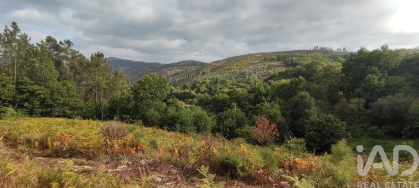 Terreno para Venda em Mões