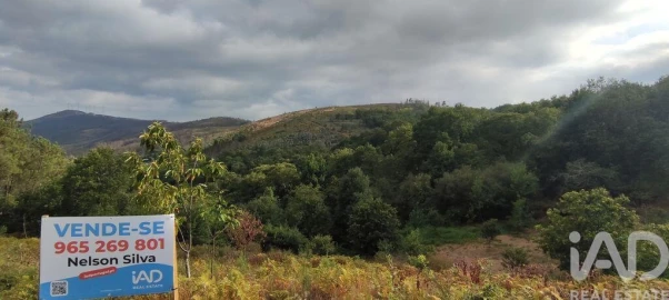 Terreno para Venda em Mões