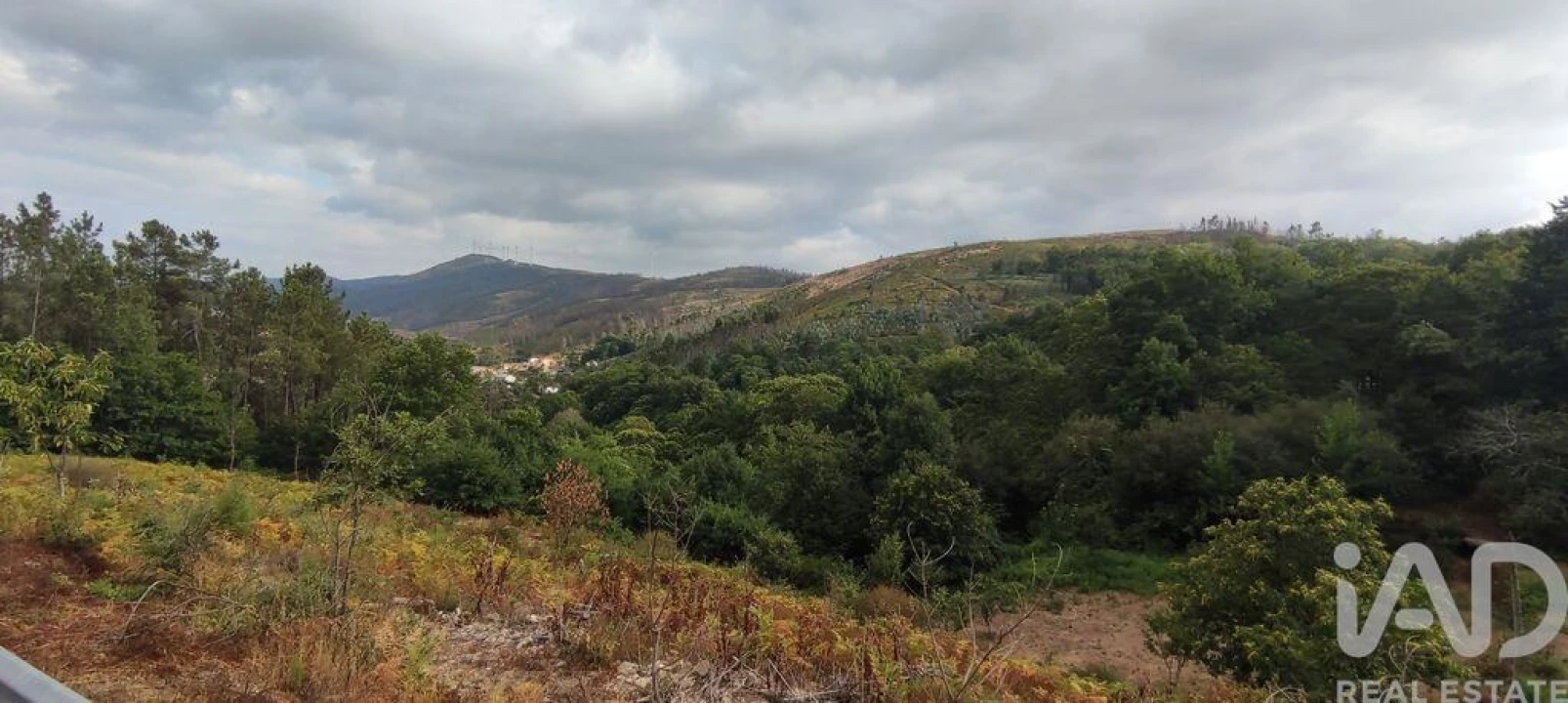 Terreno para Venda em Mões Foto 6