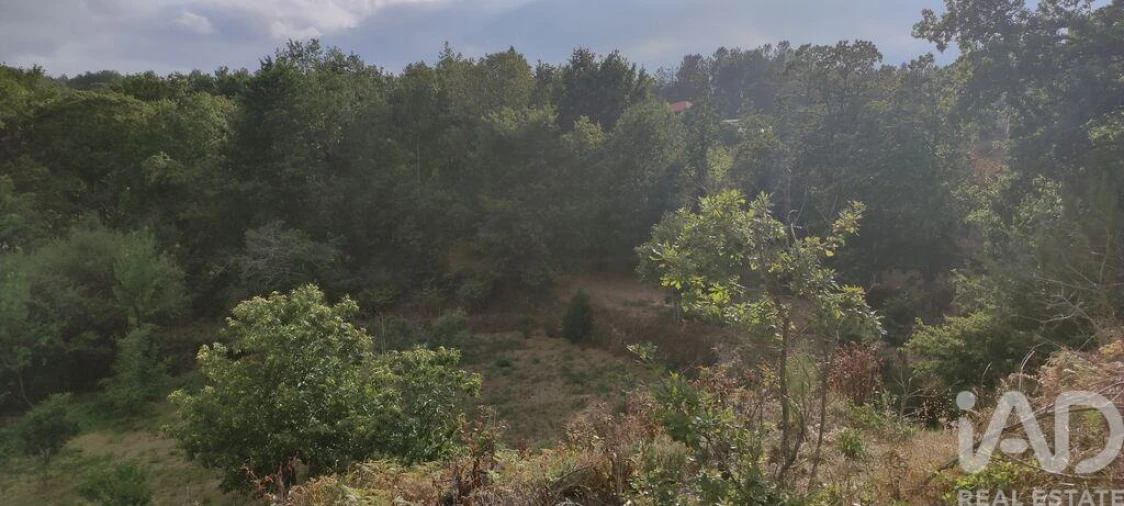 Terreno para Venda em Mões Foto 7