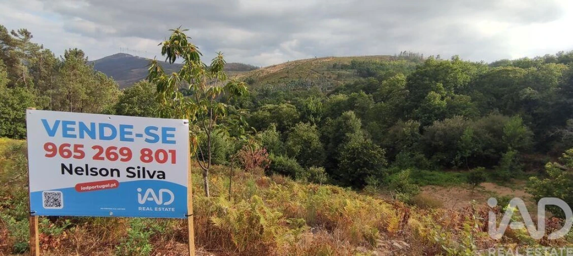 Terreno para Venda em Mões Foto 2