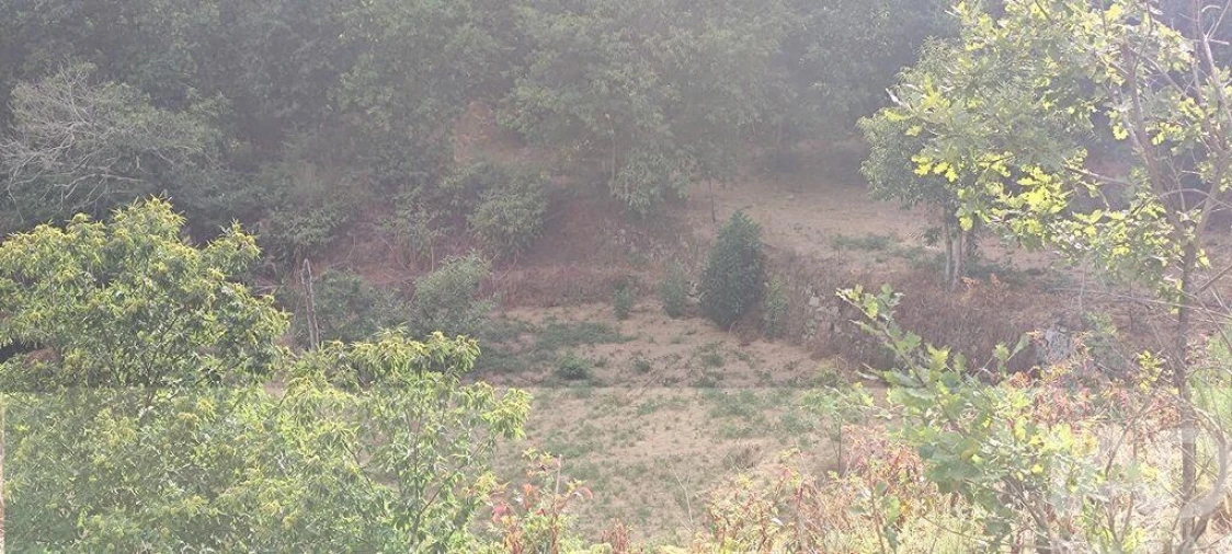 Terreno para Venda em Mões Foto 8