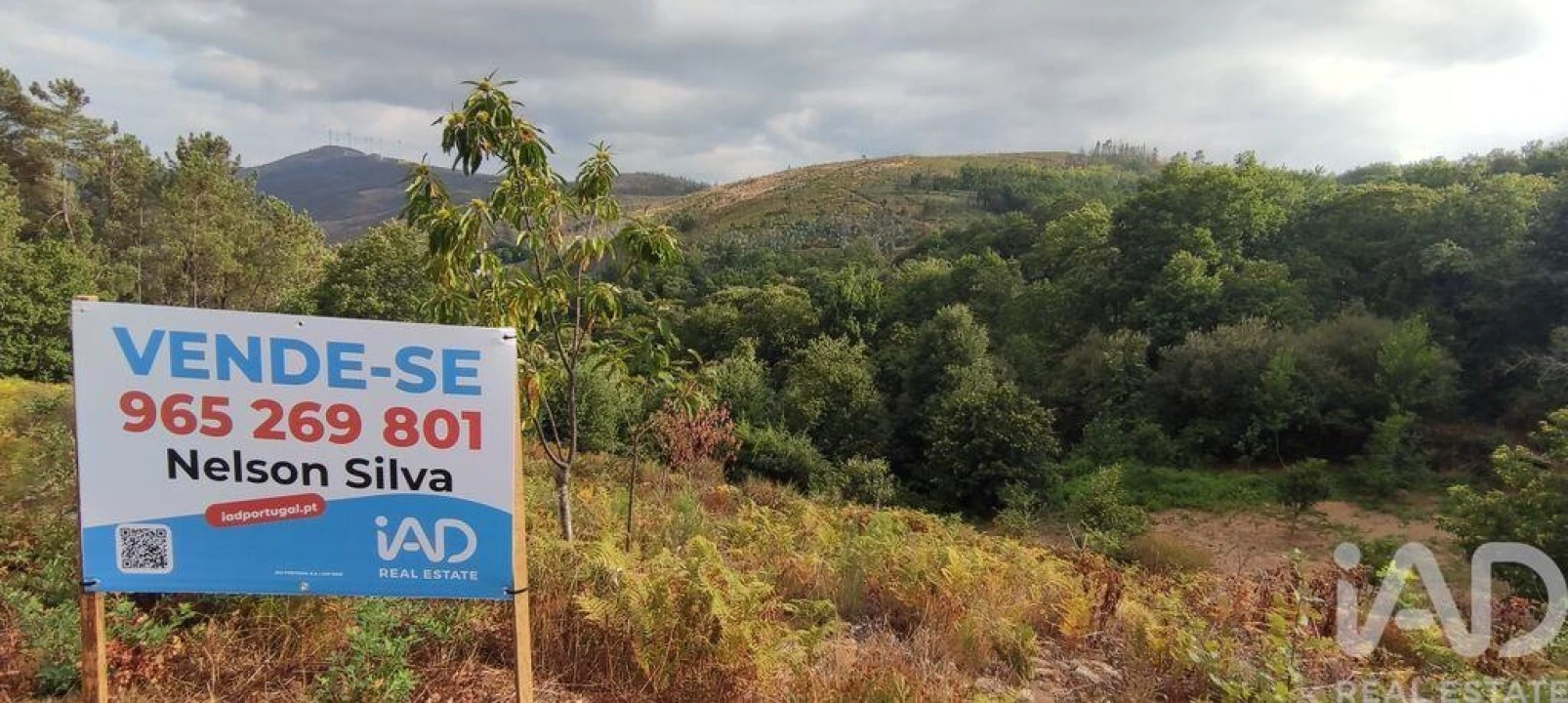 Terreno para Venda em Mões Foto 2