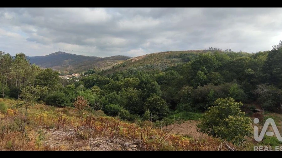 Terreno para Venda em Mões