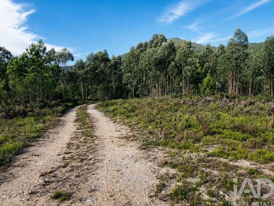 Terreno para Venda em Melres e Medas Foto 1