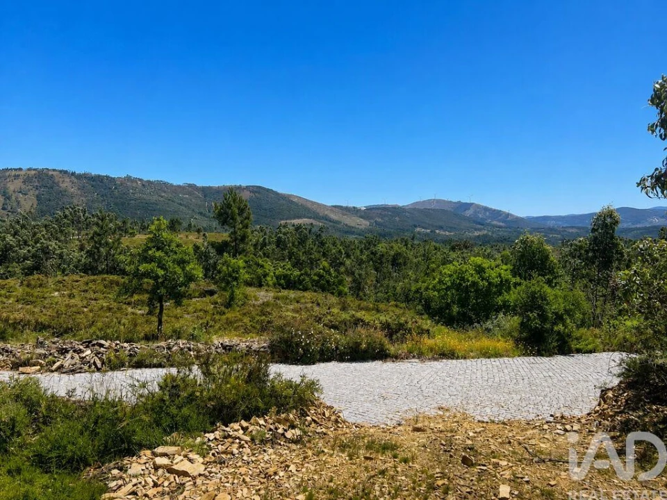 Terreno para Venda em Melres e Medas Foto 7
