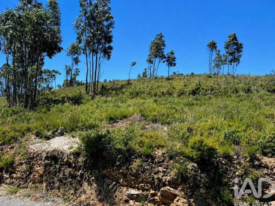Terreno para Venda em Melres e Medas Foto 6