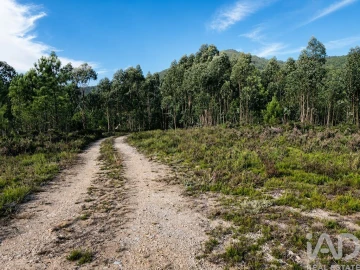 Terreno para Venda em Melres e Medas