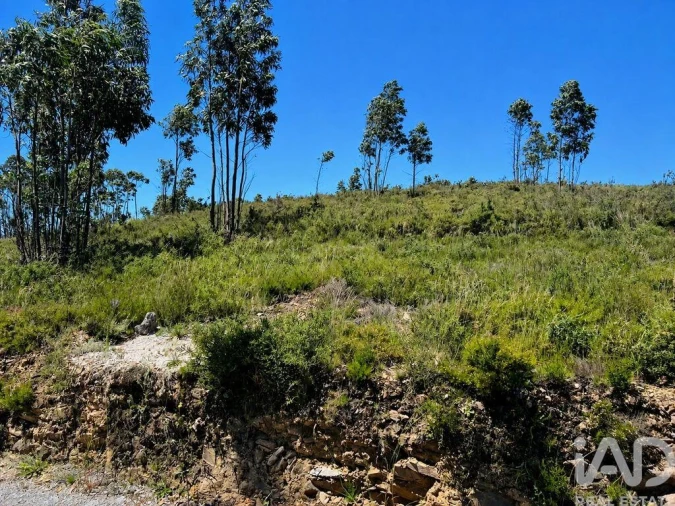 Terreno para Venda em Melres e Medas Foto 6
