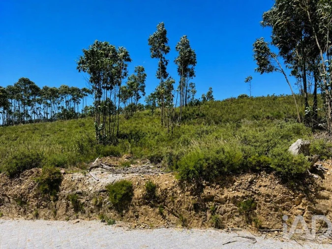 Terreno para Venda em Melres e Medas Foto 5