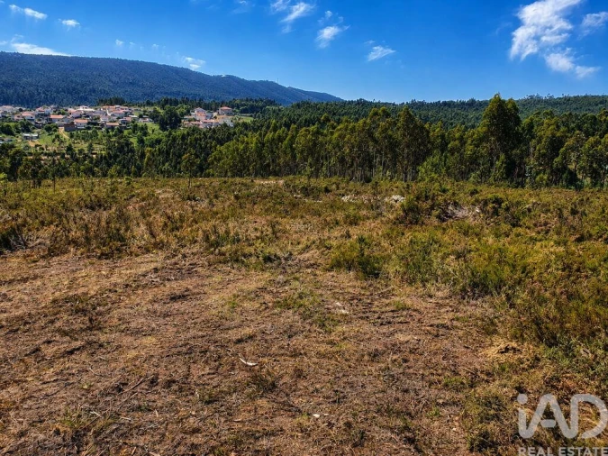 Terreno para Venda em Melres e Medas Foto 9