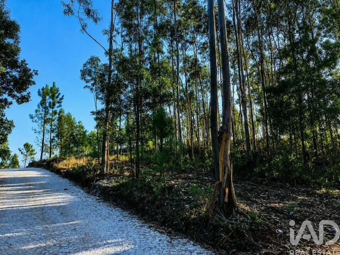 Terreno para Venda em Melres e Medas Foto 8
