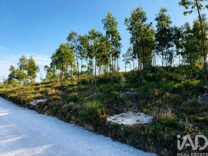 Terreno para Venda em Melres e Medas Foto 4
