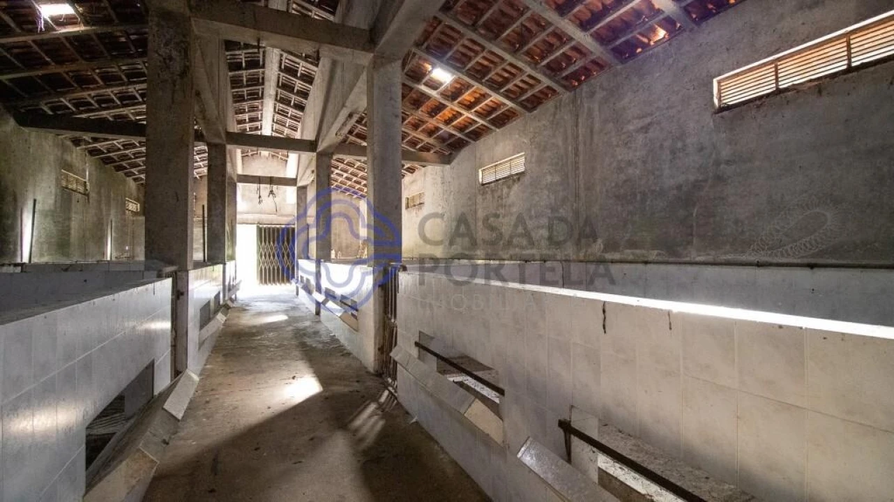Quinta T5 para Venda em Canedo, Vale e Vila Maior Foto 20