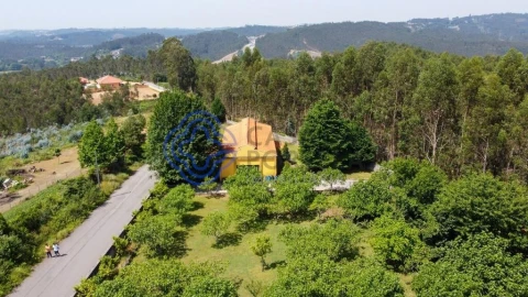 Quinta T5 para Venda em Canedo, Vale e Vila Maior
