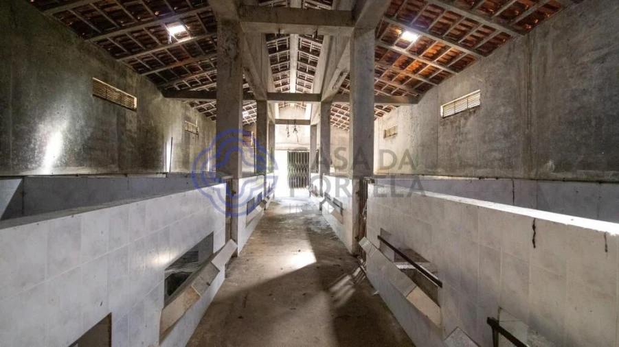 Quinta T5 para Venda em Canedo, Vale e Vila Maior Foto 18
