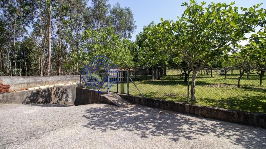 Quinta T5 para Venda em Canedo, Vale e Vila Maior Foto 10