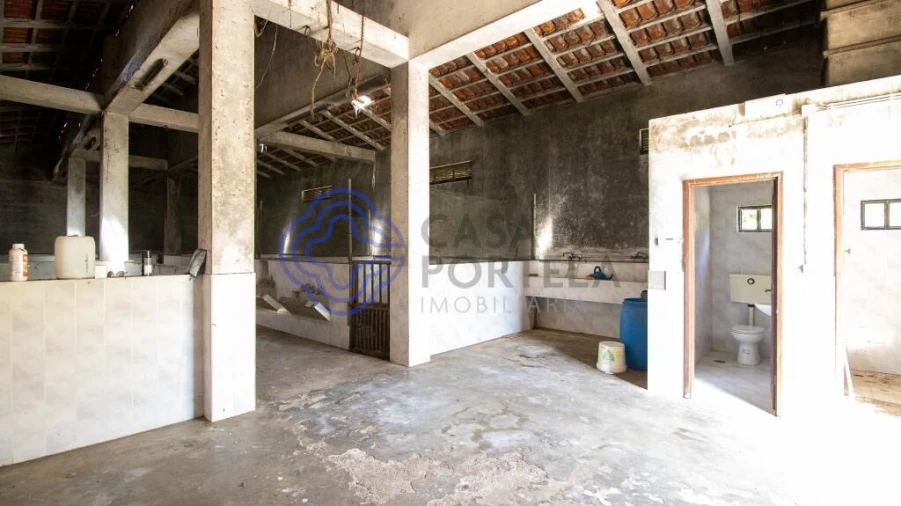 Quinta T5 para Venda em Canedo, Vale e Vila Maior Foto 21