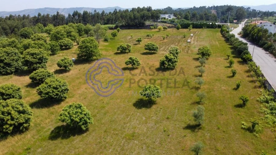 Quinta T5 para Venda em Canedo, Vale e Vila Maior Foto 6