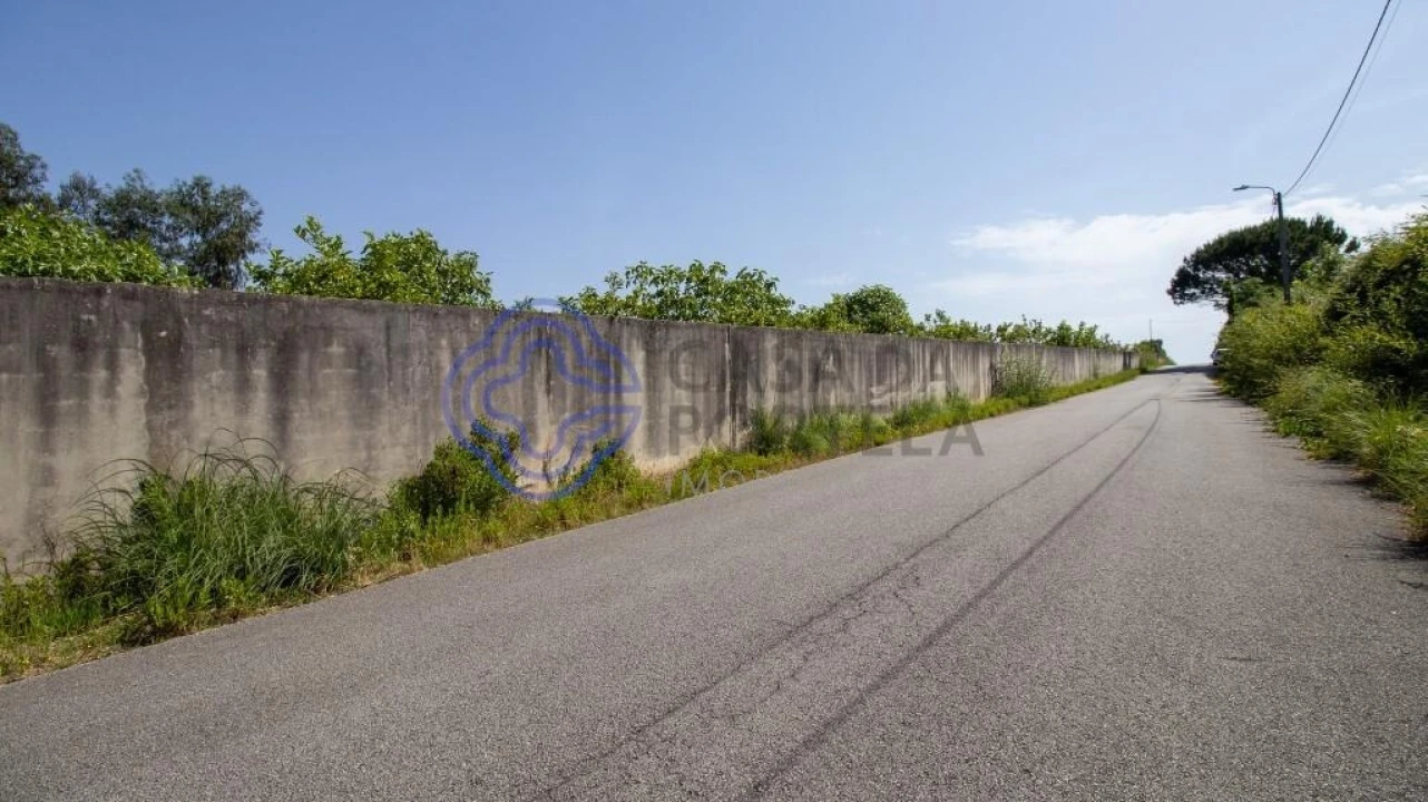 Quinta T5 para Venda em Canedo, Vale e Vila Maior Foto 7