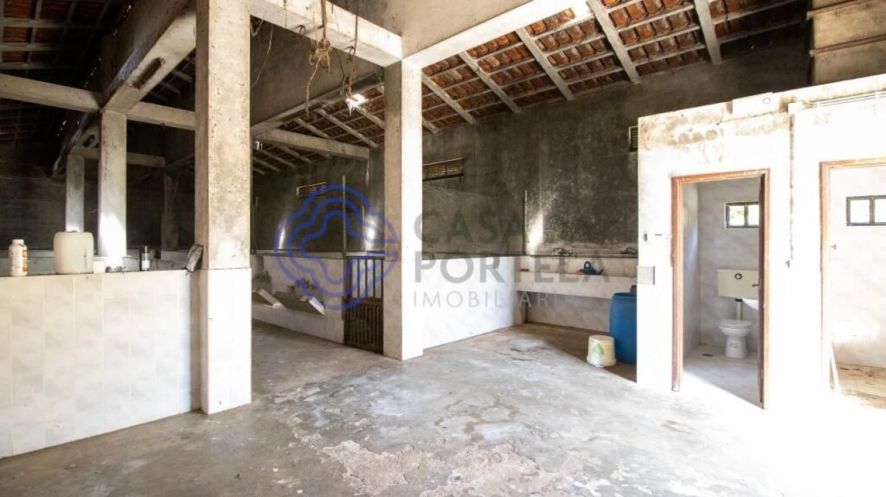 Quinta T5 para Venda em Canedo, Vale e Vila Maior Foto 21