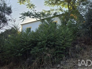 Quinta T3 para Venda em Borba (Matriz)