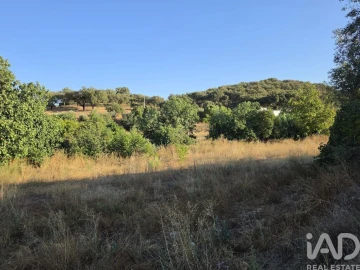 Quinta T3 para Venda em Borba (Matriz)