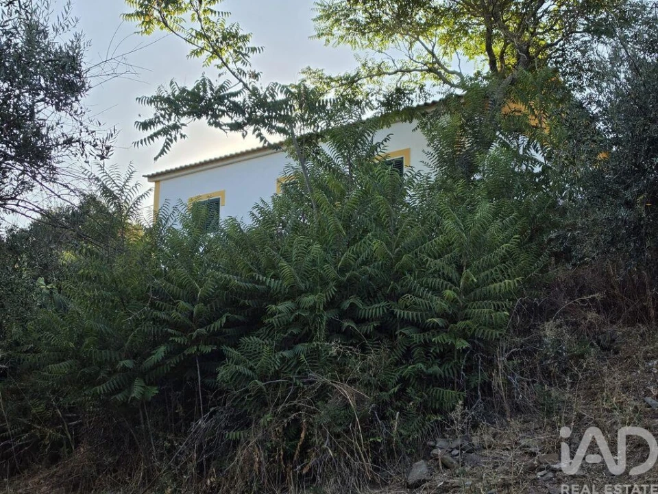 Quinta T3 para Venda em Borba (Matriz) Foto 16