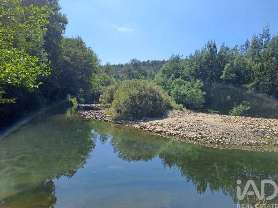 Terreno para Venda em Lousã e Vilarinho Foto 1