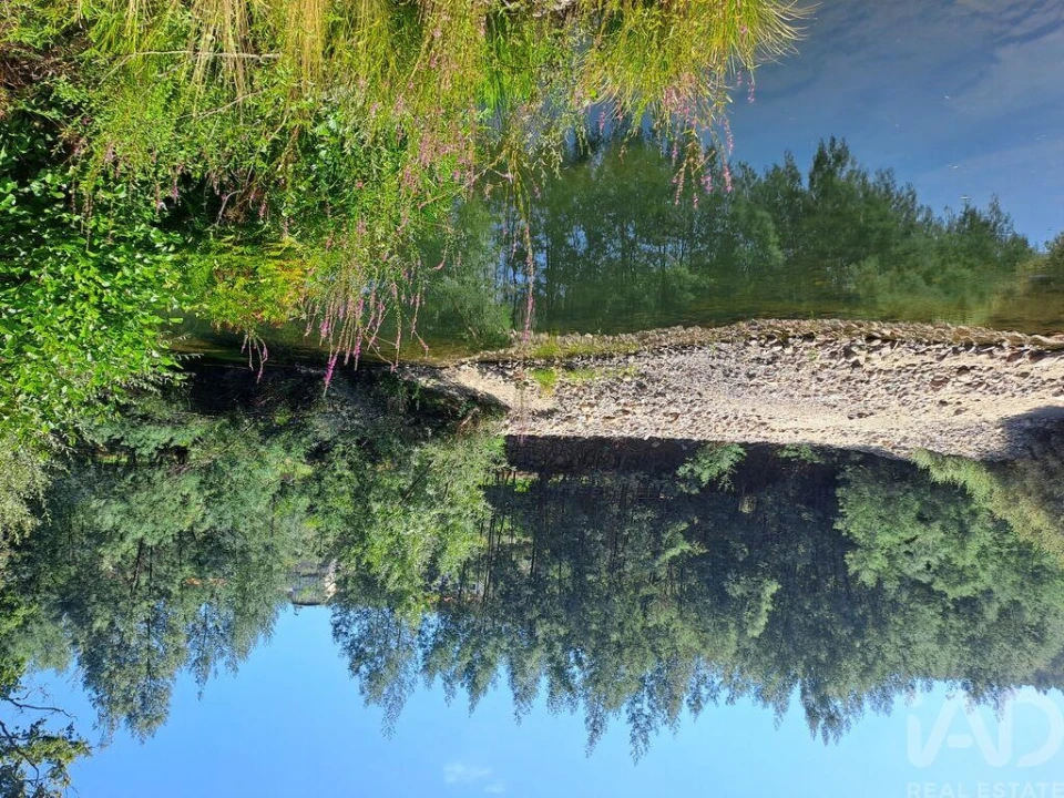 Terreno para Venda em Lousã e Vilarinho Foto 8