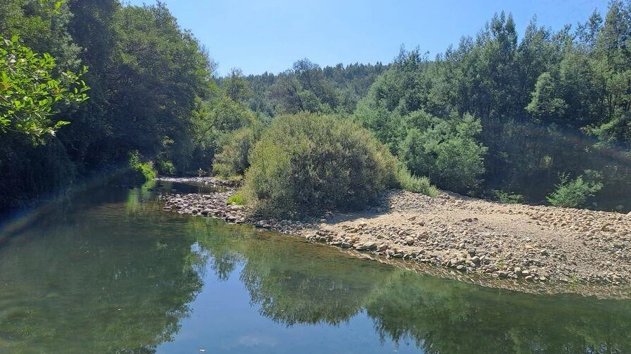 Terreno para Venda em Lousã e Vilarinho