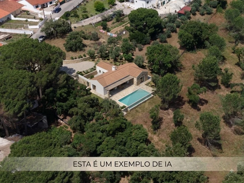 Terreno para Venda em São Pedro de Tomar Foto 9