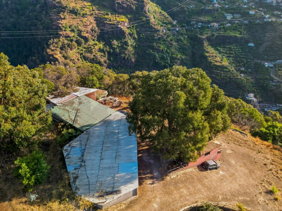 Terreno para Venda em Santa Cruz Foto 1