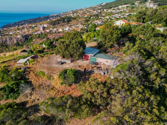 Terreno para Venda em Santa Cruz Foto 7