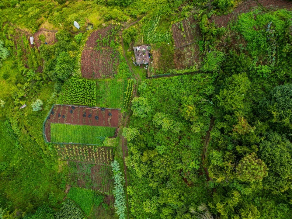 Terreno para Venda em Arco de São Jorge Foto 6
