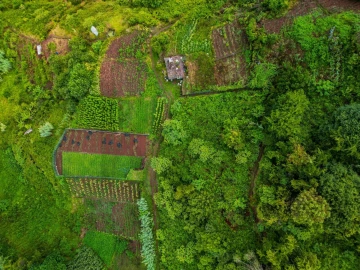 Terreno para Venda em Arco de São Jorge