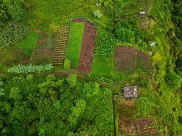 Terreno para Venda em Arco de São Jorge