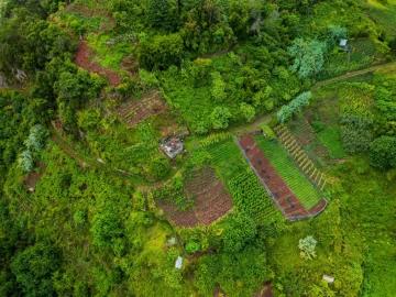 Terreno para Venda em Arco de São Jorge