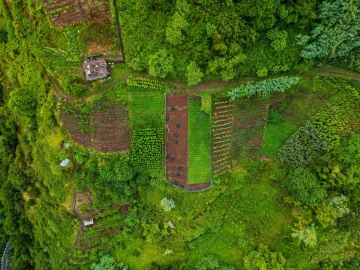 Terreno para Venda em Arco de São Jorge